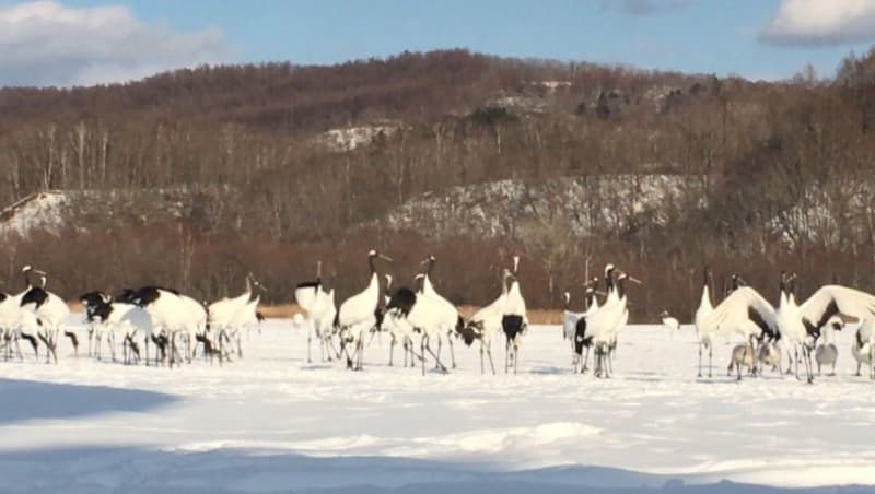 Excursions around Lake Akan, Hokkaido